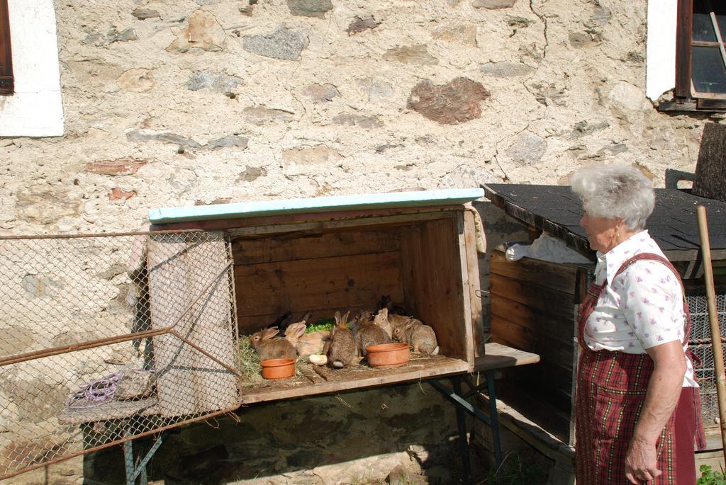 Ferienwohnung Lahnerhof Arriach Dış mekan fotoğraf