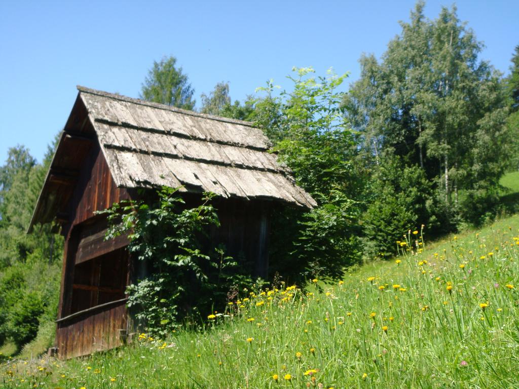 Ferienwohnung Lahnerhof Arriach Dış mekan fotoğraf
