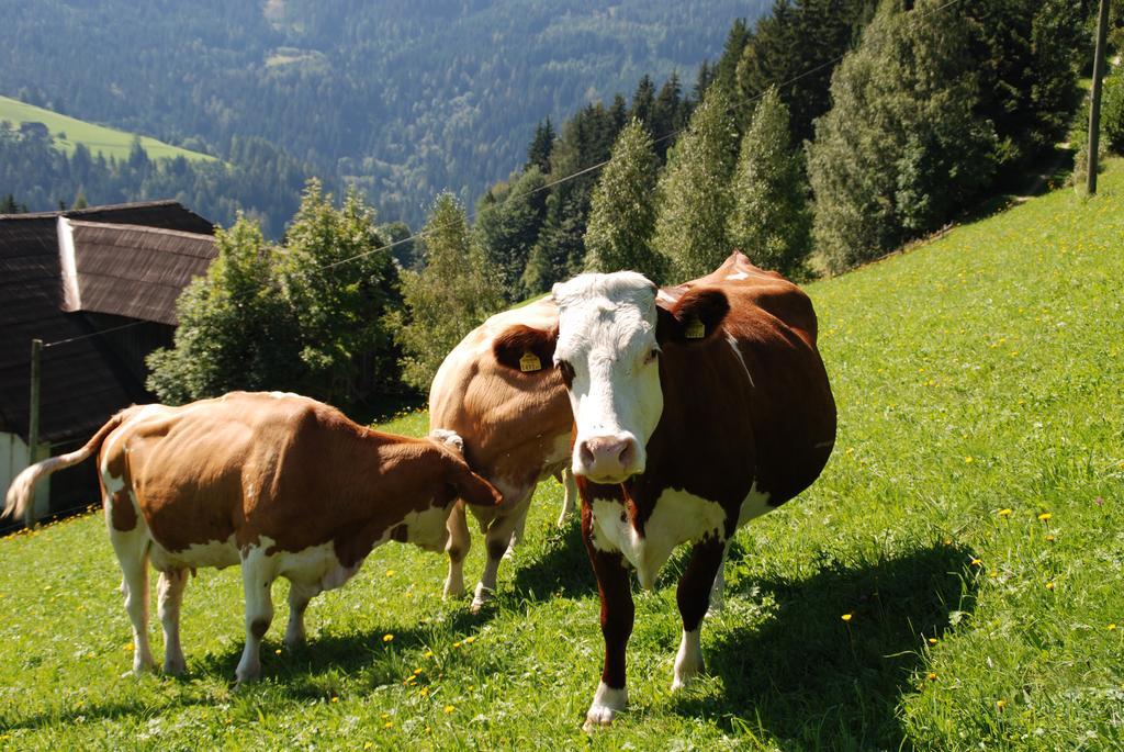 Ferienwohnung Lahnerhof Arriach Dış mekan fotoğraf